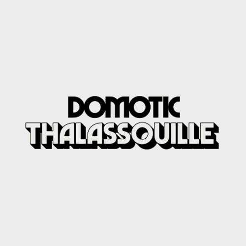 Logotypes de Domotic et Thalassouille