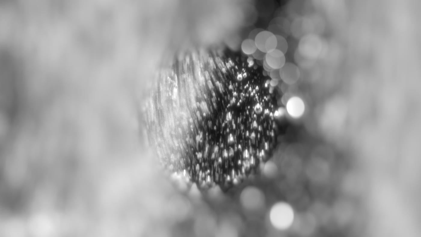 Stillframe 5 du Concerto pour une décolleteuse