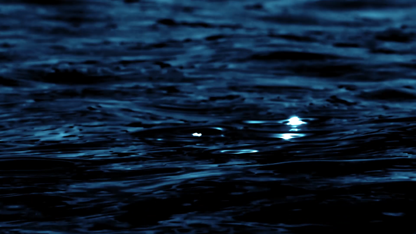 Stillframe 7 du concert Miyazaki